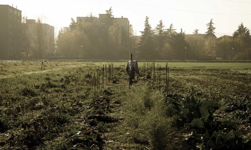 Podere San Giuliano Villa San Lazzaro di Savena Luaran gambar